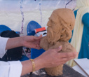 Neyshabur University held the the 2nd annual National Festival of Hakim Omar Khayyam Neyshaburi